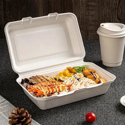 9x6 사탕수수 사탕수수 대합조개